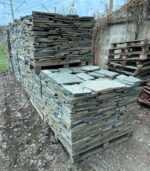 Плитняк доллар