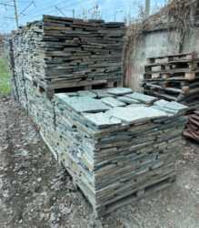 Плитняк доллар