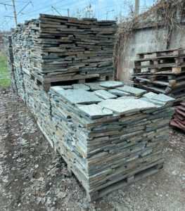 Плитняк доллар